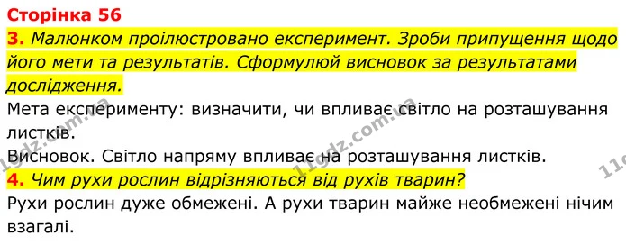 1. Випиши з рубрики «Наукова довідка» (с. 167–170) основні поняття й сформулюй їх означення усно. — ГДЗ робочий зошит Пізнаємо природу 5 клас Коршевнюк