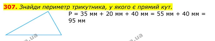 307. Знайди периметр трикутника, у якого є прямий кут. — ГДЗ Математика 3 клас Листопад 1-2 ч.