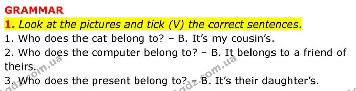 1. Look at the pictures and tick (V) the correct sentences. — ГДЗ робочий зошит Англійська мова 7 клас Prepare