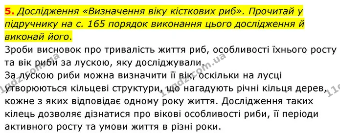 5. Дослідження «Визначення віку кісткових риб». Прочитай у підручнику на с. 165 порядок виконання цього дослідження й виконай його. — ГДЗ робочий зошит Біологія 7 клас Тагліна