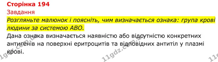 Стор. 194 — 1 — ГДЗ Біологія 8 клас Тагліна — ГДЗ Біологія 8 клас Тагліна