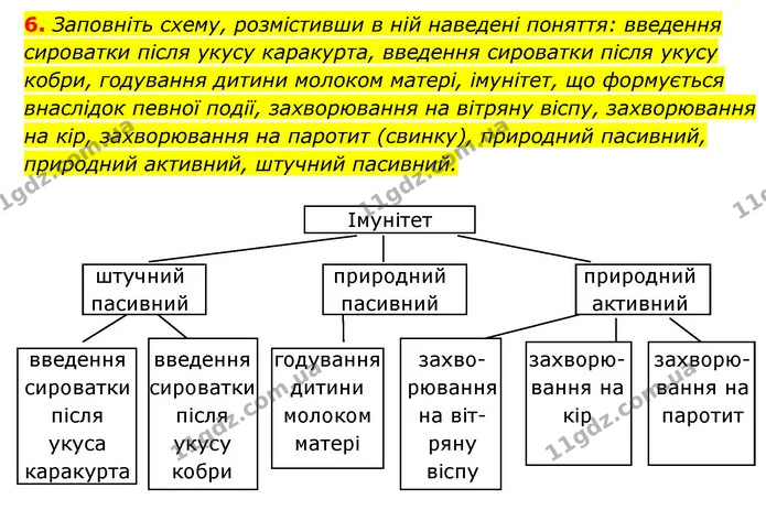 6. Заповніть схему, розмістивши в ній наведені поняття: введення сироватки після укусу каракурта, введення сироватки після укусу кобри — ГДЗ Робочий зошит Біологія 8 клас Задорожний