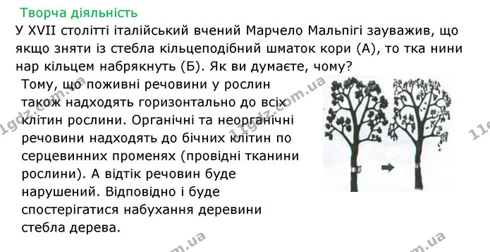 Стор. 47 — 2 — ГДЗ Робочий зошит Біологія 6 клас Соболь — ГДЗ Робочий зошит Біологія 6 клас Соболь
