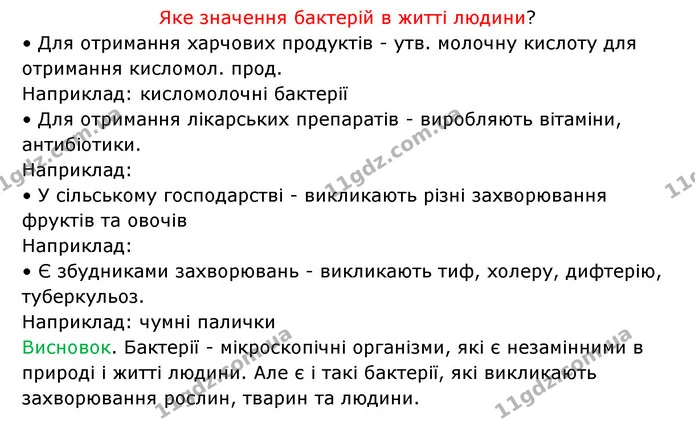 Стор. 26 — 2 — ГДЗ Робочий зошит Біологія 6 клас Соболь — ГДЗ Робочий зошит Біологія 6 клас Соболь