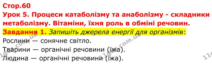 Стор. 60 — 1 — ГДЗ Робочий зошит біологія 8 клас Мирна — ГДЗ Робочий зошит біологія 8 клас Мирна