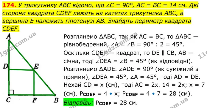174. У трикутнику ABC відомо, що ∠C = 90°, AC = BC = 14 см. Дві — ГДЗ Геометрія 8 клас Мерзляк