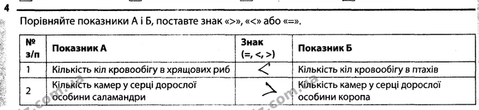 Стор. 36 — 4 — ГДЗ Робочий зошит Біологія 7 клас Задорожний — ГДЗ Робочий зошит Біологія 7 клас Задорожний