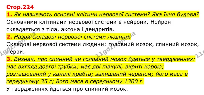 1. Як називають основні клітини нервової системи? Яка їхня будова? — ГДЗ Пізнаємо природу 5 клас Біда