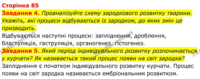 4. Проаналізуйте схему зародкового розвитку тварини. Укажіть, які процеси відбуваються із зародком, до яких змін це призводить. — ГДЗ Робочий зошит Біологія 7 клас Мирна 2024