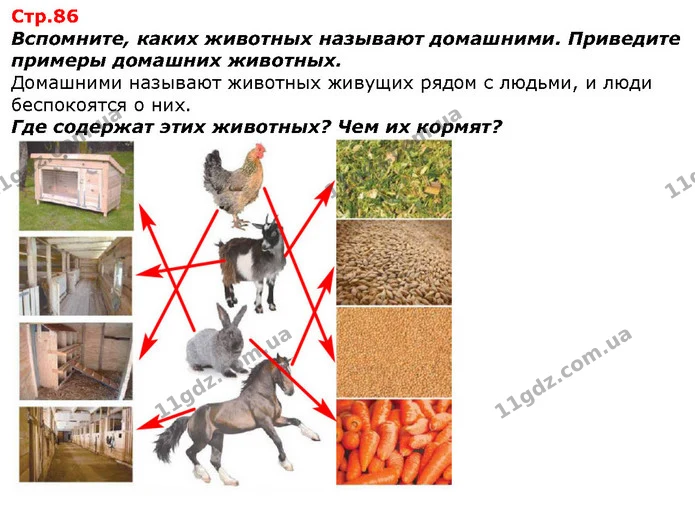 Какие измерительные приборы использует мама на кухне, когда готовит по рецепту пирог? — ГДЗ Я исследую мир 1 класс Гильберг