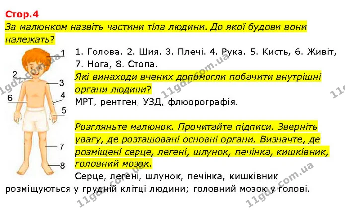 За малюнком назвіть частини тіла людини. До якої будови вони належать? — ГДЗ Я досліджую світ 3 клас Гільберг 1-2 ч.
