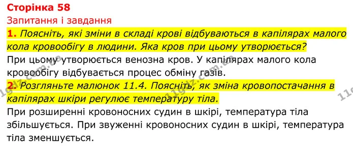 Стор. 58 — 1 — ГДЗ Біологія 8 клас Тагліна — ГДЗ Біологія 8 клас Тагліна