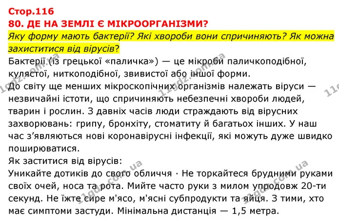 Стор. 116 — 1 — ГДЗ Я досліджую світ 3 клас Грущинська (1 частина) — ГДЗ Я досліджую світ 3 клас Грущинська (1 частина)