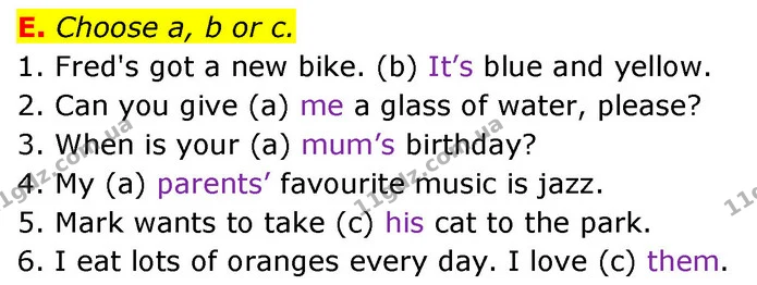 E. Choose a, b or c. — ГДЗ Збірник тестів Англійська мова 5 клас Мітчелл (Test Booklet)