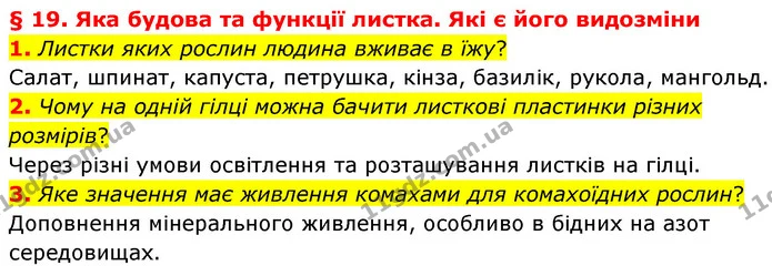 1. Листки яких рослин людина вживає в їжу? — ГДЗ Біологія 7 клас Балан