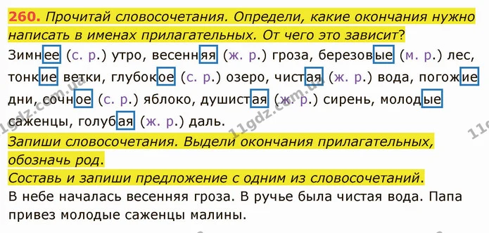 260. Прочитай словосочетания. Определи, какие окончания нужно написать в именах прилагательных. От чего это зависит? — ГДЗ Русский язык и чтение 3 класс Лапшина