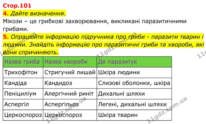 4. Дайте визначення. — ГДЗ робочий зошит Біологія 7 клас Кулініч