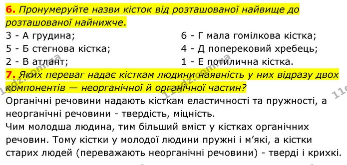 6. Пронумеруйте назви кісток від розташованої найвище до розташованої найнижче. — ГДЗ Робочий зошит Біологія 8 клас Задорожний