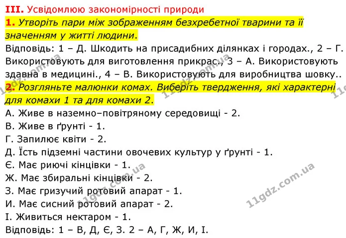 Стор. 206 — Стр.206 (3.1-2) — ГДЗ Біологія 7 клас Балан — ГДЗ Біологія 7 клас Балан