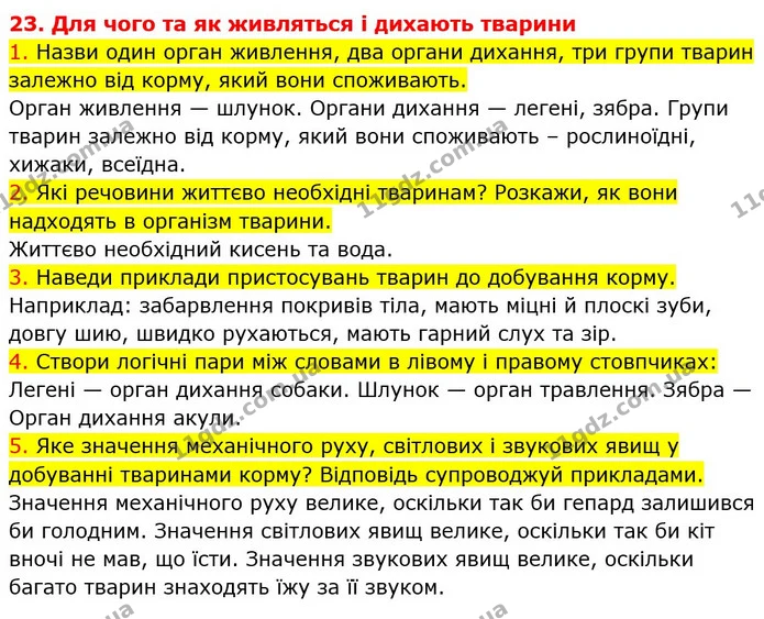 1. Назви один орган живлення, два органи дихання, три групи тварин залежно від корму, який вони споживають. — ГДЗ Пізнаємо природу 5 клас Коршевнюк