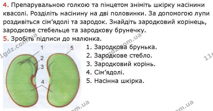 Стор. 41 — Стр.41 (3.2) — ГДЗ робочий зошит Біологія 7 клас Кулініч — ГДЗ робочий зошит Біологія 7 клас Кулініч