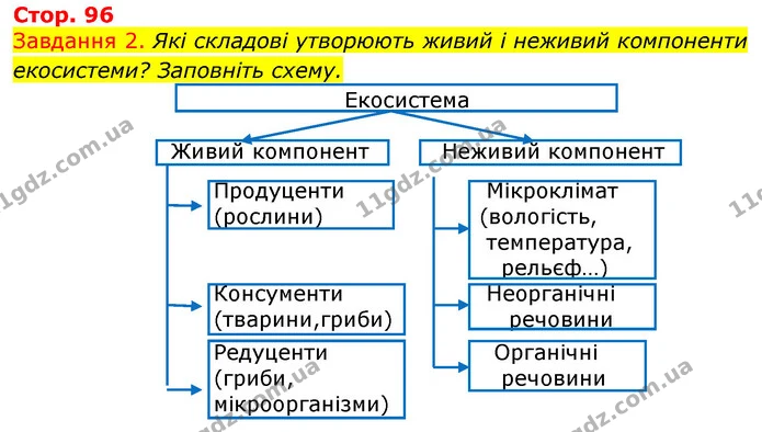 Стор. 96 — 2 — ГДЗ Робочий зошит з Біології 7 клас Яременко — ГДЗ Робочий зошит з Біології 7 клас Яременко