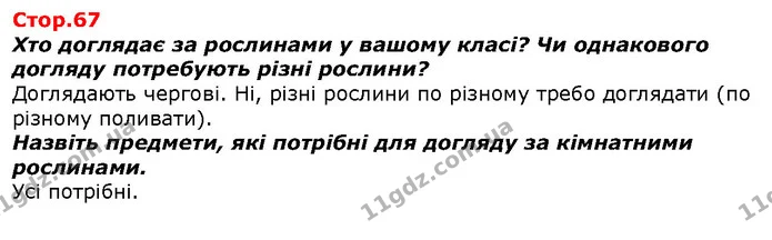 Хто доглядає за рослинами у вашому класі? Чи однакового догляду потребують різні рослини? — ГДЗ Я досліджую світ 1 клас Гільберг