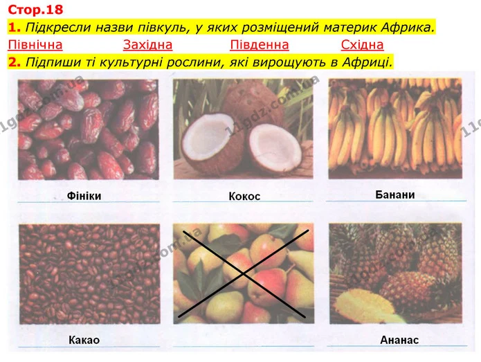 1. Підкресли назви півкуль, у яких розміщений материк Африка. — ГДЗ Робочий зошит Я досліджую світ 4 клас Гільберг