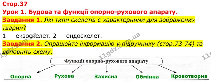 Стор. 37 — 1-2 — ГДЗ Робочий зошит біологія 8 клас Мирна — ГДЗ Робочий зошит біологія 8 клас Мирна