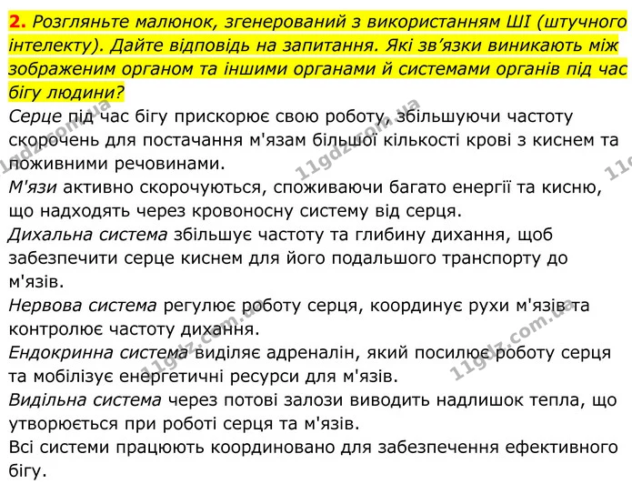 2. Розгляньте малюнок, згенерований з використанням ШІ (штучного інтелекту). Дайте відповідь на запитання. Які зв’язки виникають між — ГДЗ Біологія 8 клас Балан