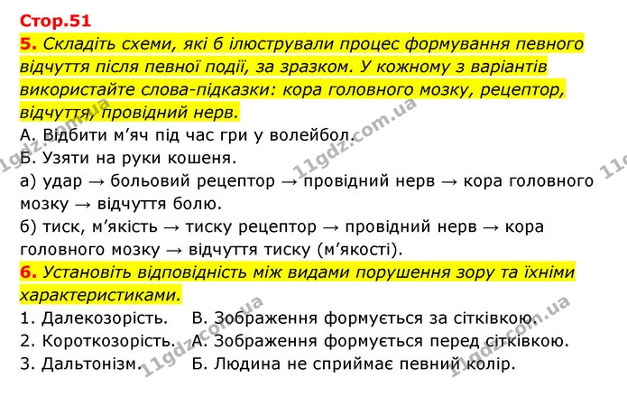 5. Складіть схеми, які б ілюстрували процес формування певного відчуття після певної події, за зразком. У кожному з варіантів — ГДЗ Робочий зошит Біологія 8 клас Задорожний