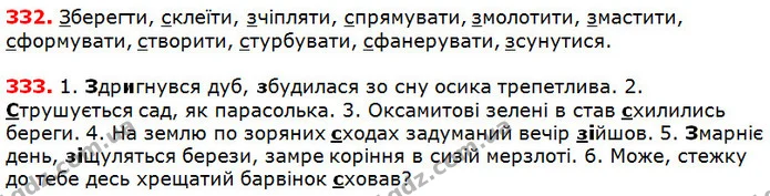 332-333 — ГДЗ Українська мова 5 клас Глазова 2018 — ГДЗ Українська мова 5 клас Глазова 2018
