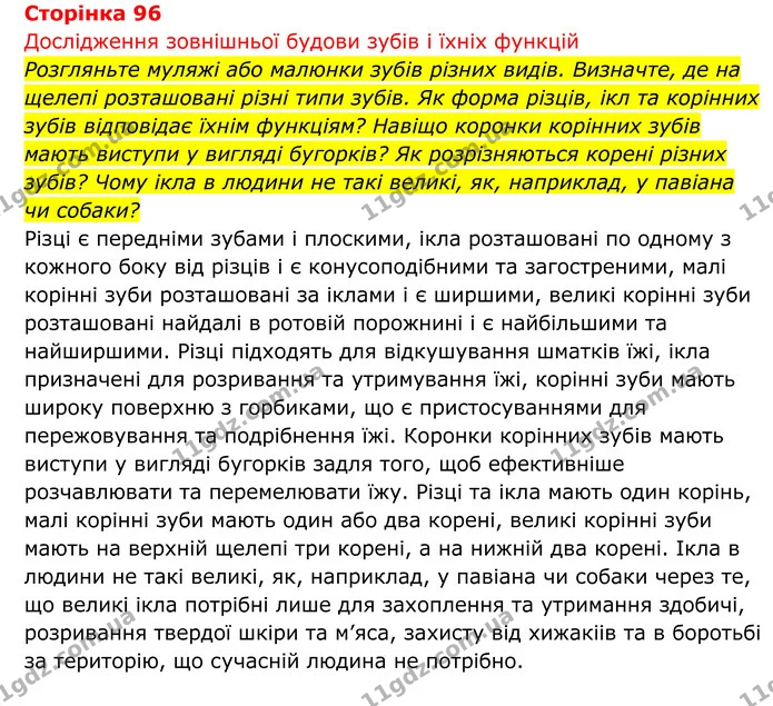Стор. 96 — 1 — ГДЗ Біологія 8 клас Тагліна — ГДЗ Біологія 8 клас Тагліна