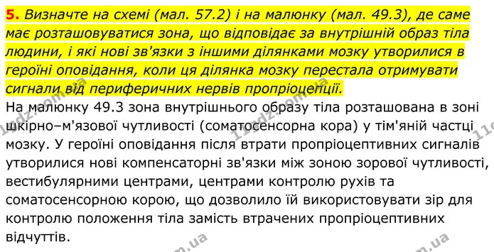 Стор. 278 — Стр.278-(4.5) — ГДЗ Біологія 8 клас Балан — ГДЗ Біологія 8 клас Балан