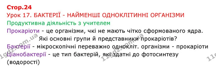 Стор. 24 — 1 — ГДЗ Робочий зошит Біологія 6 клас Соболь — ГДЗ Робочий зошит Біологія 6 клас Соболь