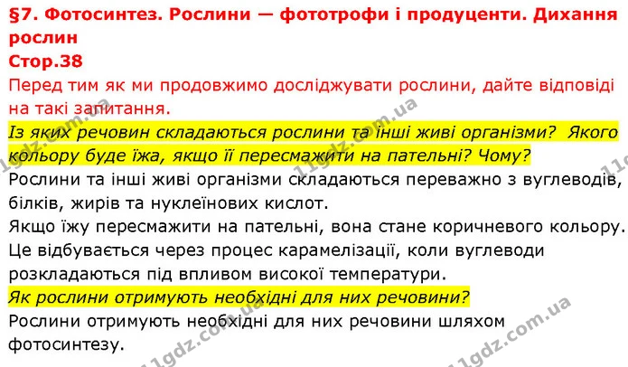 Із яких речовин складаються рослини та інші живі організми? Якого кольору буде їжа, якщо її пересмажити на пательні? Чому? — ГДЗ Біологія 7 клас Тагліна