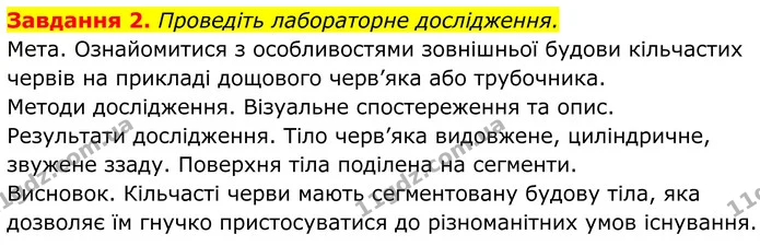 2. Проведіть лабораторне дослідження. — ГДЗ Робочий зошит Біологія 7 клас Мирна 2024