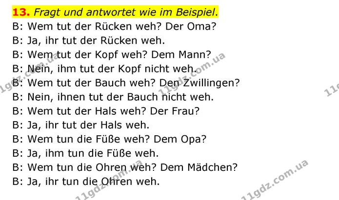13. Fragt und antwortet wie im Beispiel. — ГДЗ Німецька мова 6 клас Басай (2023)