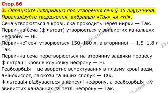 3. Опрацюйте інформацію про утворення сечі § 45 підручника. Проаналізуйте твердження, вибравши «Так» чи «Ні». — ГДЗ Робочий зошит Біологія 8 клас Кулініч