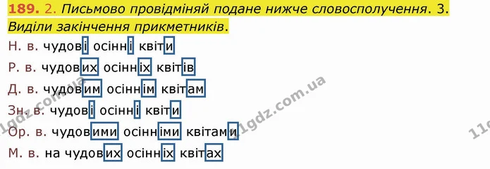189. 2. Письмово провідміняй подане нижче словосполучення. 3. Виділи закінчення прикметників. — ГДЗ Українська мова та читання 4 клас Коваленко