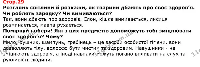 Розглянь світлини й розкажи, як тварини дбають про своє здоров’я. Чи роблять зарядку? Чи вимиваються? — Решебник Я досліджую світ 1 клас Грущинська