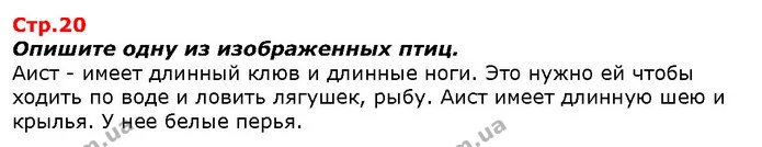 Опишите одну из изображенных птиц. — ГДЗ Я исследую мир 1 класс Гильберг