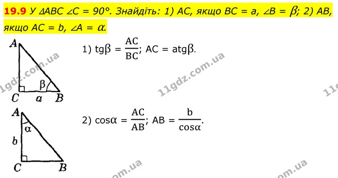 19.9 У ∆ABC ∠C = 90°. Знайдіть: 1) AC, якщо BC = a, ∠B = β; 2) AB, якщо AC = b, ∠A = α. — ГДЗ Геометрія 8 клас Істер