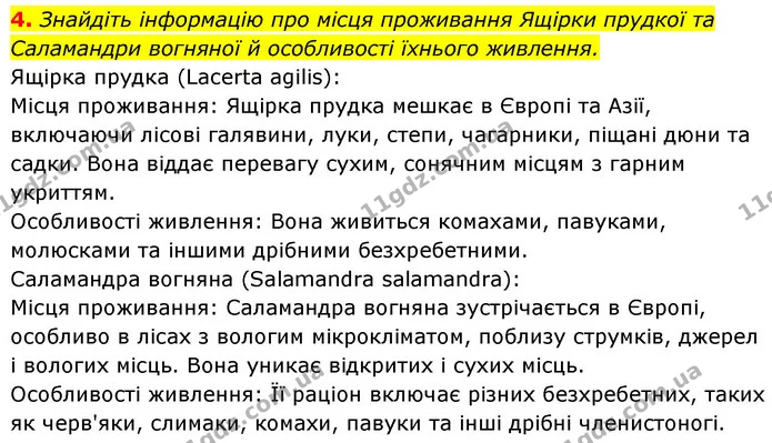 4. Знайдіть інформацію про місця проживання Ящірки прудкої та Саламандри вогняної й особливості їхнього живлення. — ГДЗ Біологія 7 клас Тагліна