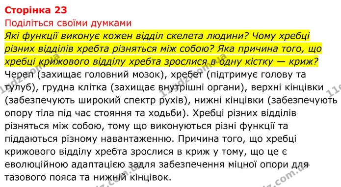 Стор. 23 — 1 — ГДЗ Біологія 8 клас Тагліна — ГДЗ Біологія 8 клас Тагліна
