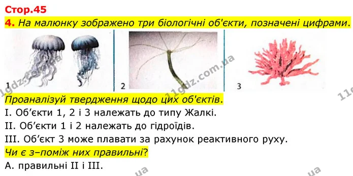 4. На малюнку зображено три біологічні об'єкти, позначені цифрами. — ГДЗ робочий зошит Біологія 7 клас Тагліна