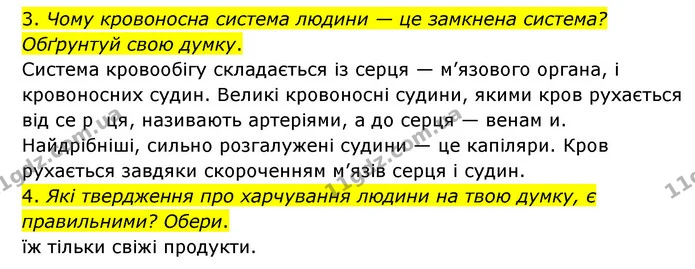 3. Чому кровоносна система людини — це замкнена система? Обґрунтуй свою думку. — ГДЗ Я досліджую світ 3 клас Грущинська (1 частина)