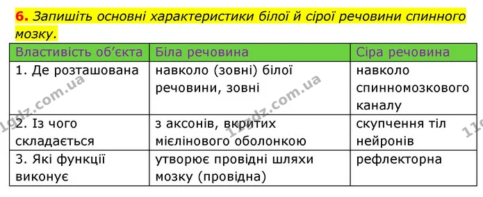 6. Запишіть основні характеристики білої й сірої речовини спинного мозку. — ГДЗ Робочий зошит Біологія 8 клас Задорожний