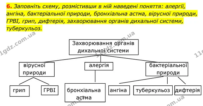 6. Заповніть схему, розмістивши в ній наведені поняття: алергії, ангіна, бактеріальної природи, бронхіальна астма, вірусної природи — ГДЗ Робочий зошит Біологія 8 клас Задорожний