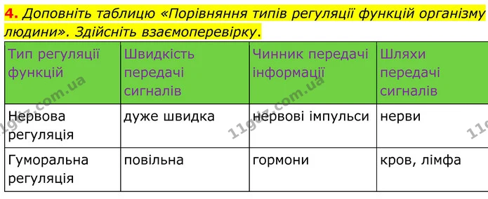 4. Доповніть таблицю «Порівняння типів регуляції функцій організму людини». Здійсніть взаємоперевірку. — ГДЗ Робочий зошит Біологія 8 клас Кулініч